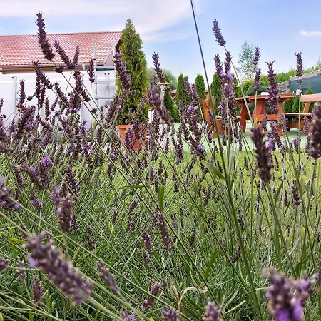 Feriehus Lawendowy Nr 6 Boszkowo